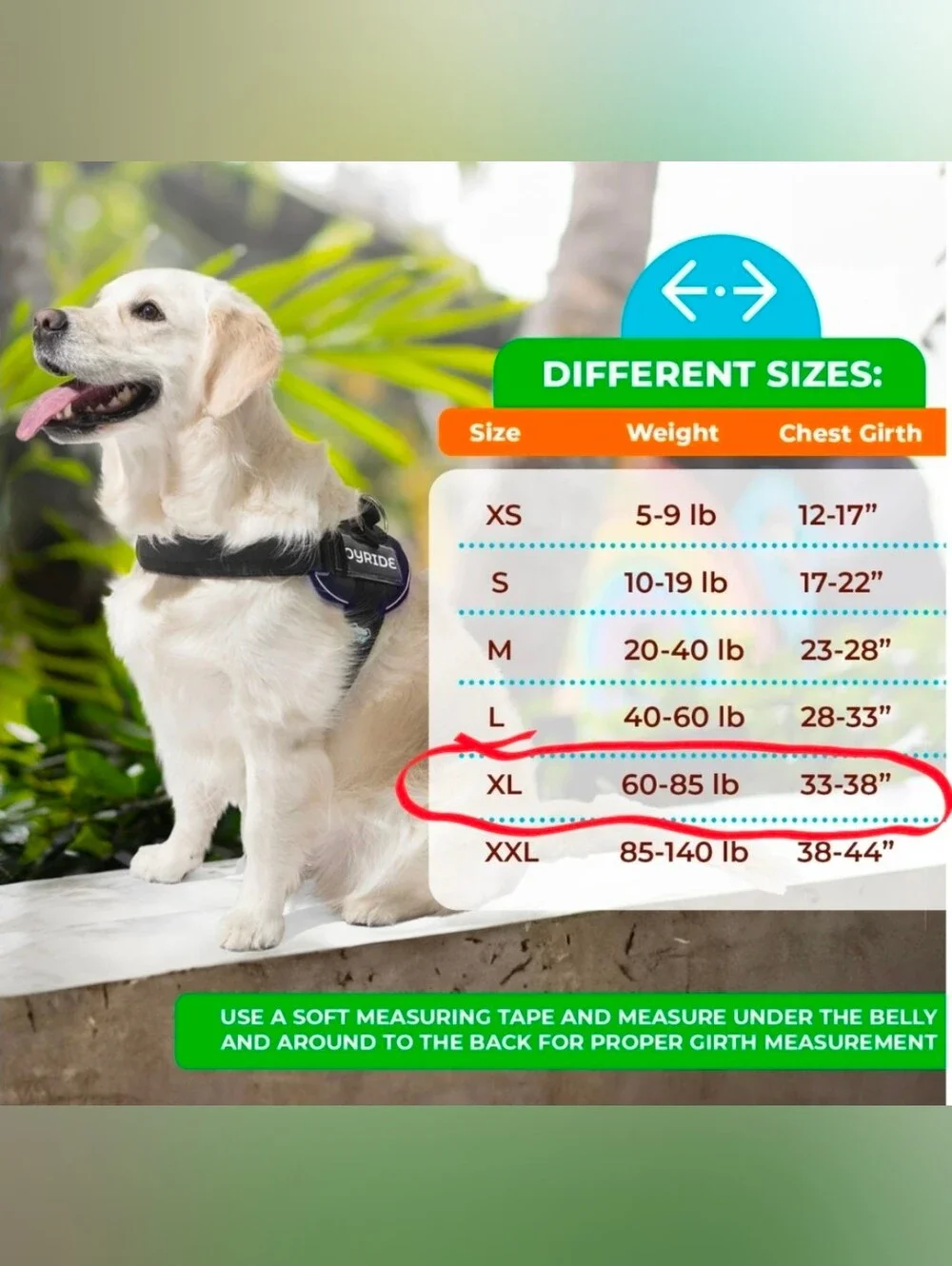 JoyRide Blue Dog Harness